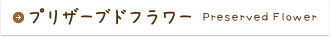 プリザーブドフラワー